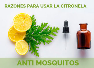 ventajas de usar la citronela como antimosquitos